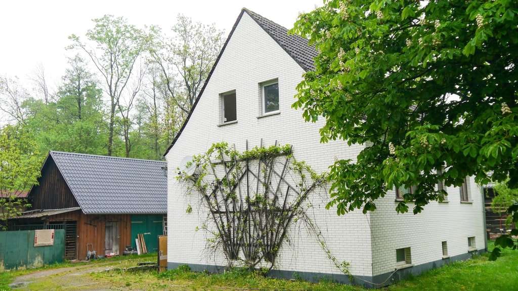 Immobilie in Burg (Spreewald) - Spreewaldliebe zwischen Fließen & Wiesen - Bild 2