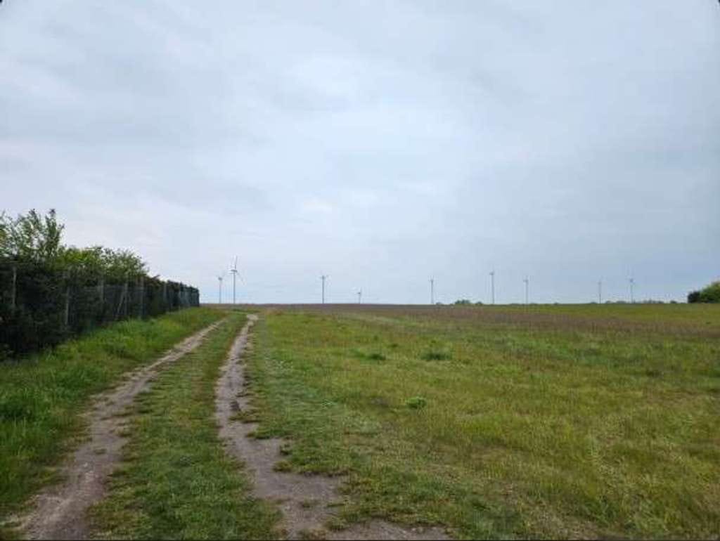 Immobilie in Uetze - Mit Grundstück: Unabhängigkeit & Nähe ideal kombiniert im Town & Country Doppelhaus in Eltze - Bild 1