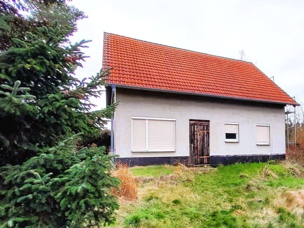 Immobilie in Trebsen/Mulde - Einfamilienhaus im Rohbau auf großem Doppelgrundstück mit zusätzlicher Bebauungsperspektive - Bild 0