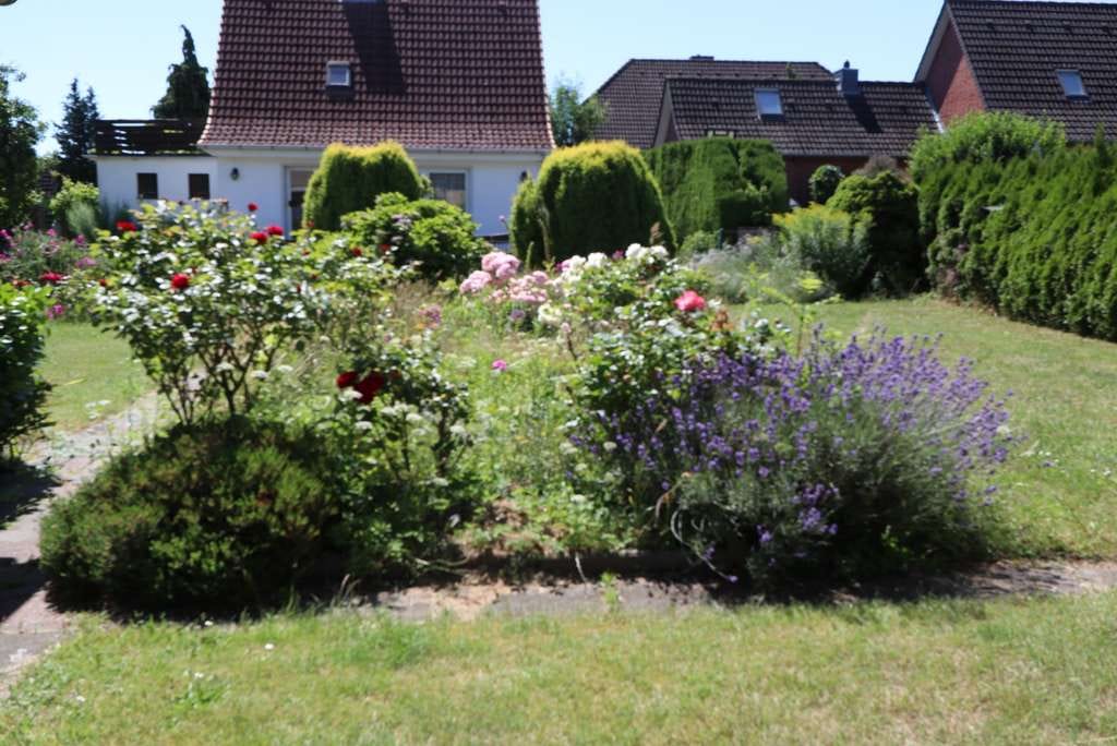 Immobilie in Basedow - Großes Einfamilienhaus mit liebevoll angelegten Garten und Potential! - Bild 1
