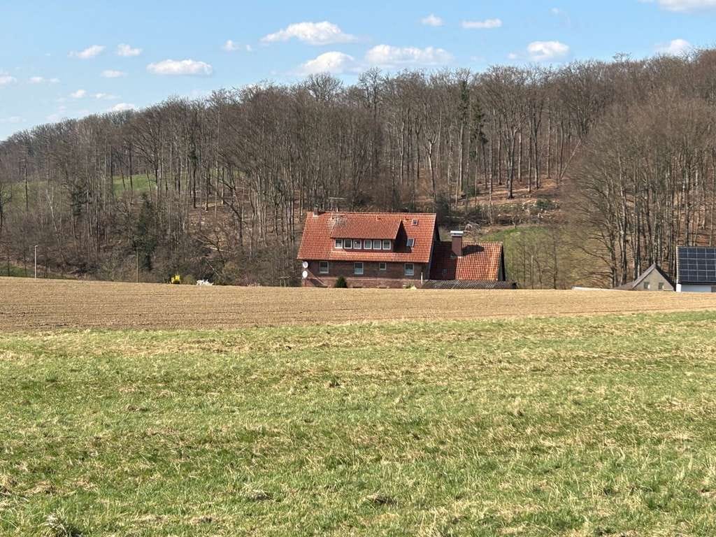 Immobilie in Extertal - Abseits des Stadtlärms - Zweifamilienhaus mit viel Grundstück und Option auf Ferienwohnung - Bild 0