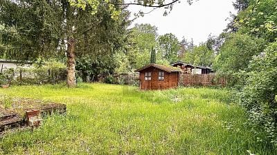 Immobilie in Müncheberg - FREIZEIT-PARADIES AM MAXSEE - Bild 2