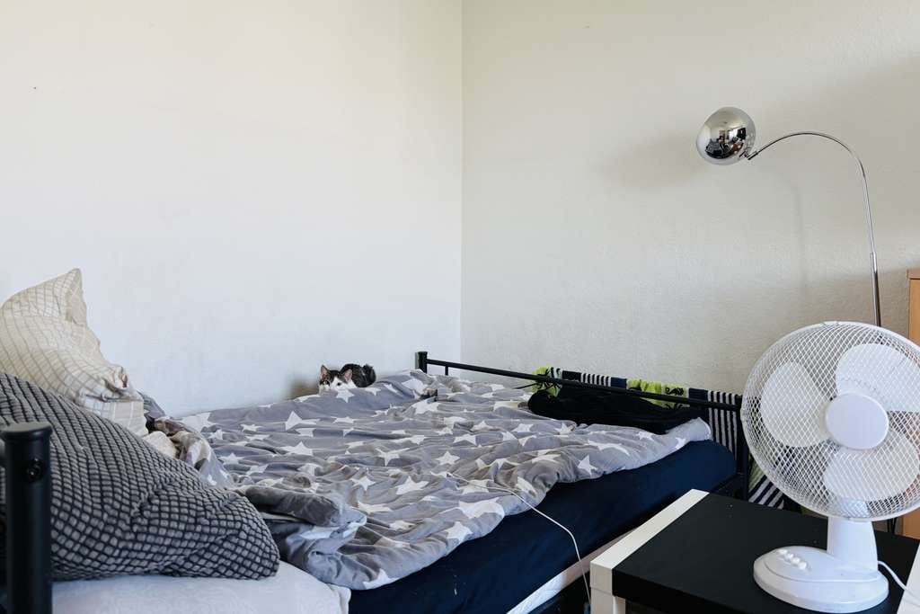 Immobilie in Fürstenfeldbruck - 1,5-Zimmer-Etagenwohnung in Fürstenfeldbruck - Bild 4