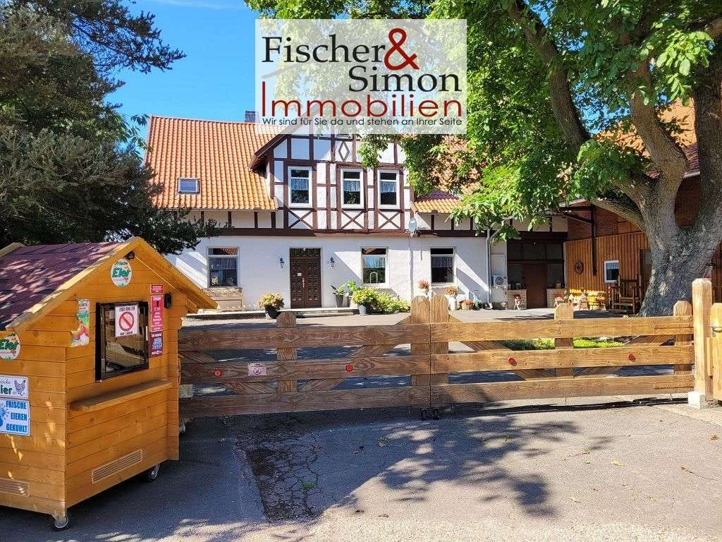Immobilie in Leese - Leese-vielseitige Hofstelle nahe dem Steinhuder Meer-Stallungen, kleine Weide & Spiel-u.Partyscheune - Bild 0