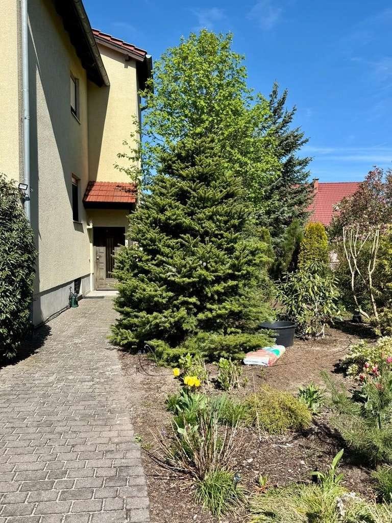 Immobilie in Radeberg - Solides 1 - 3 Familien-Haus mit schönem Garten in Ullersdorf bei Dresden - Bild 5