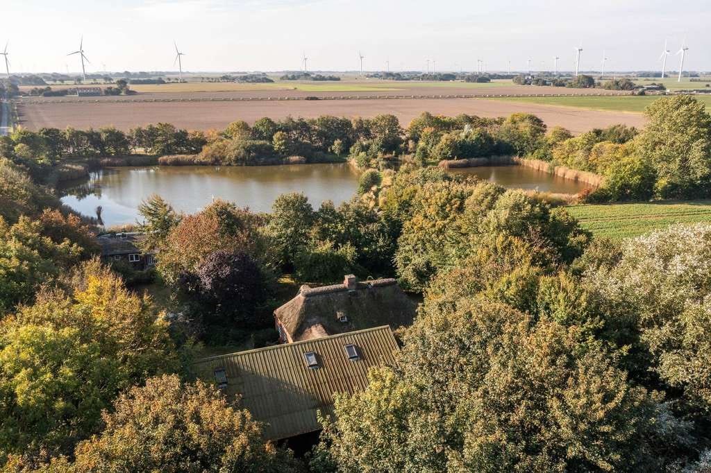 Immobilie in Niebüll - Baudenkmal - Bauernhaus unter Reet mit Scheune auf einer Warft im Gotteskoog - Bild 1