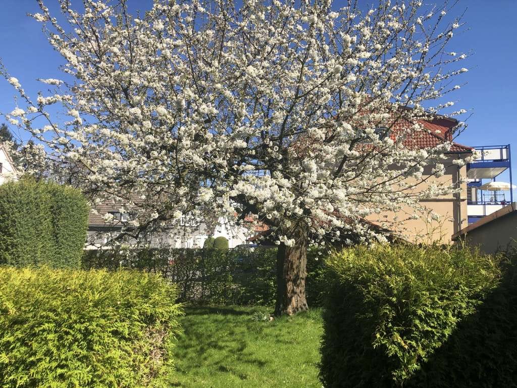 Immobilie in Holzwickede - !! Holzwickede !! Mehrfamilien oder Mehrgenerationen Haus in guter Lage - Bild 2