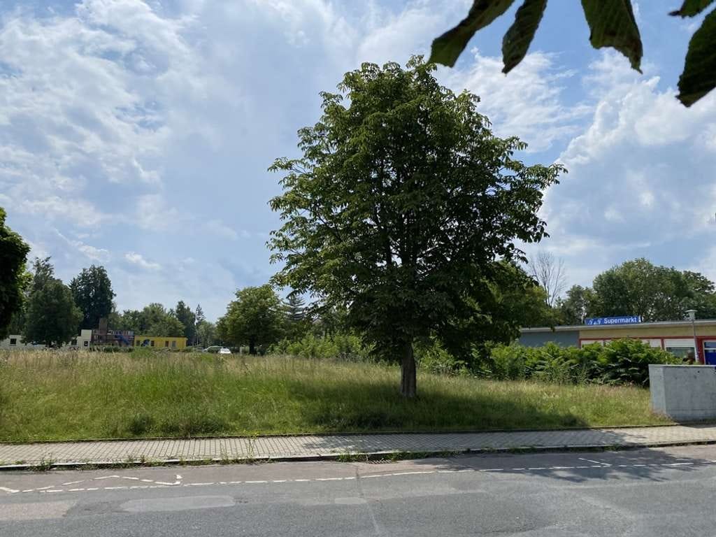 Immobilie in Lucka - Jetzt Bauplatz sichern und loslegen – Ihr Eigenheim in Lucka mit ScanHaus! - Bild 4