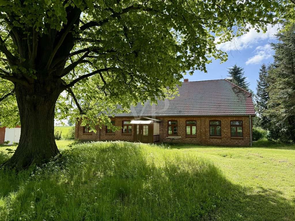 Immobilie in Moltzow - Resthof in Alleinlage mit großem Potenzial möchte saniert werden – Wohnen zwischen den Feldern - Bild 4