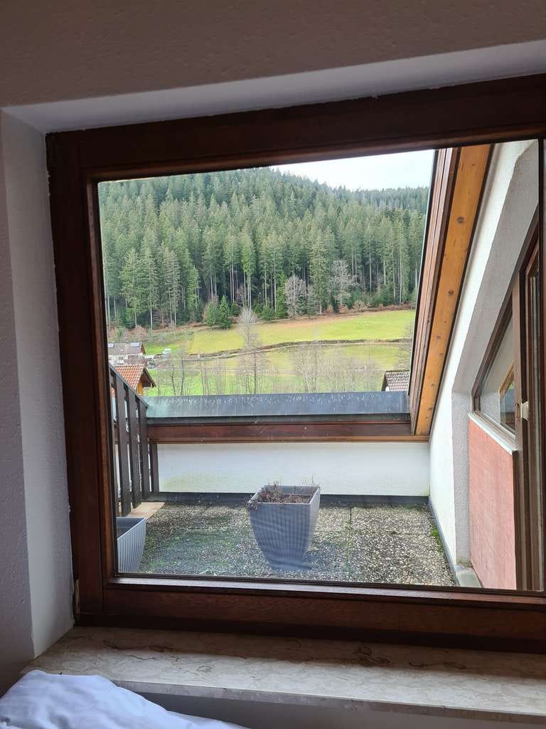 Immobilie in Enzklösterle - Voll möblierte 2 Zimmer DH Wohnung/Ferienwohnung in Enzklösterle mit Tiefgarage - Bild 2
