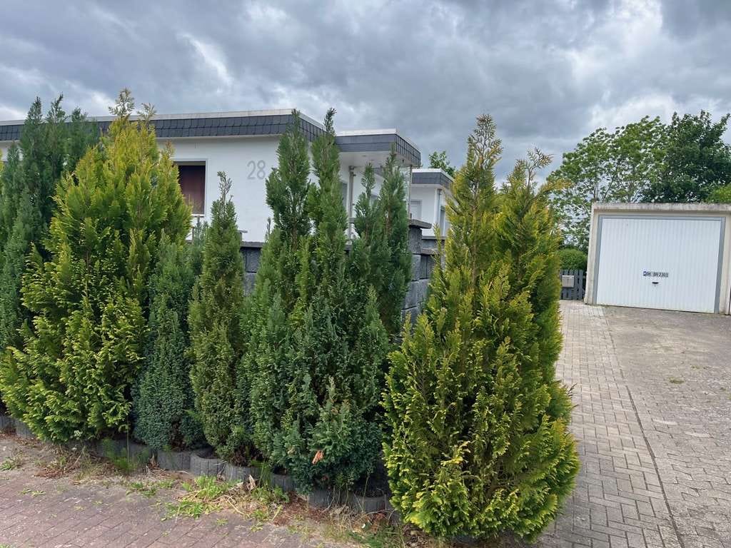 Immobilie in Neukirchen - Bungalow mit 4 Wohneinheiten
als Kapitalanlage - Bild 1