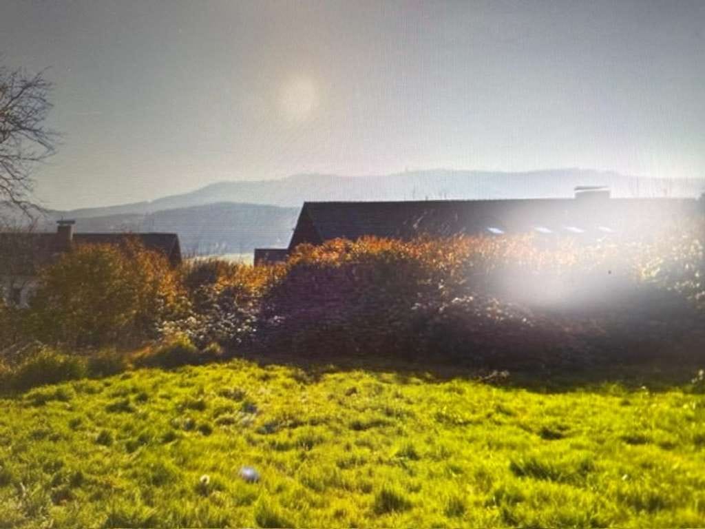 Immobilie in Neukirchen beim Heiligen Blut - Traumlage mit Bergblick: Einfamilienhaus mit großem Garten am Fuße des Hohen Bogens - Bild 1