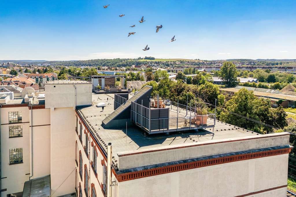 Immobilie in Heidenau - Historisches Loft mit großer Dachterrasse und Panoramablick - Bild 3