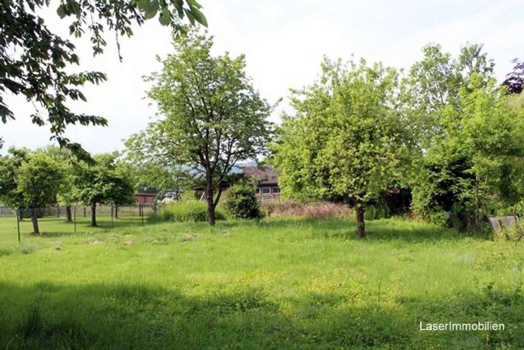 Immobilie in Heringen - Kleiner Resthof mit viel Potential - 1900m² GS - Entkerntes Wohnhaus 145m² - 2 Scheunen - 8min zur A - Bild 3