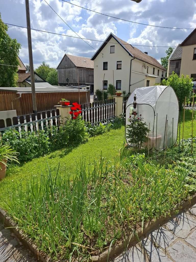 Immobilie in Weischlitz - Entspanntes Wohnen mit Garten und Sauna - Bild 4