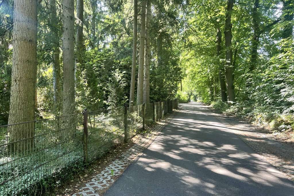 Immobilie in Aumühle - Aumühle – Exklusiver Neubau in großzügiger Südlage mit viel Lebensqualität - Bild 4
