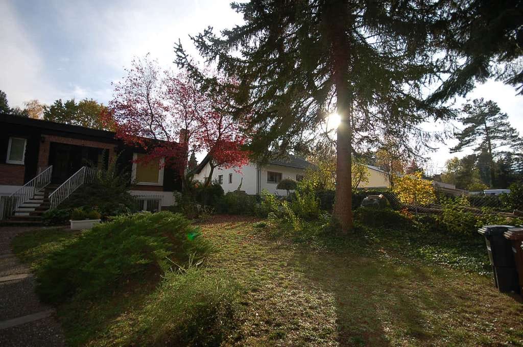 Immobilie in Rödermark - Haus in Top Lage am Waldrand, mit Potenzial, akt. Vollvermietet - Bild 1