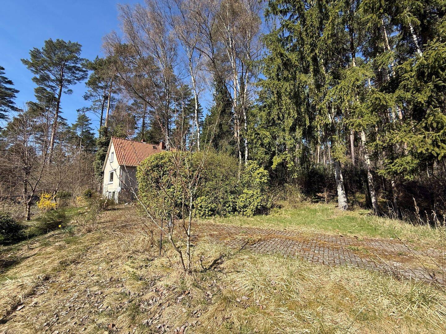 Immobilie in Faßberg - Charmantes Einfamilienhaus auf großzügigem Grundstück in idyllischer Lage - Bild 3
