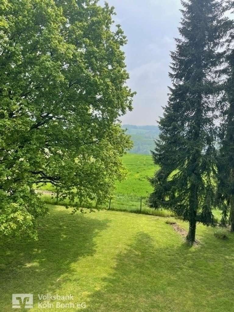 Immobilie in Asbach - Asbach - Traumhaus mit viel Platz und idyllischem Grundstück - Bild 3