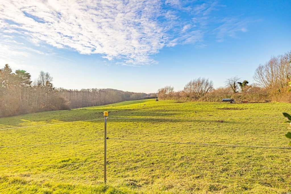Immobilie in Hohenfelde - Top-Gepflegtes Anwesen mit 4 Wohnungen, Stall und Hauskoppel in Ostseenähe - Bild 2