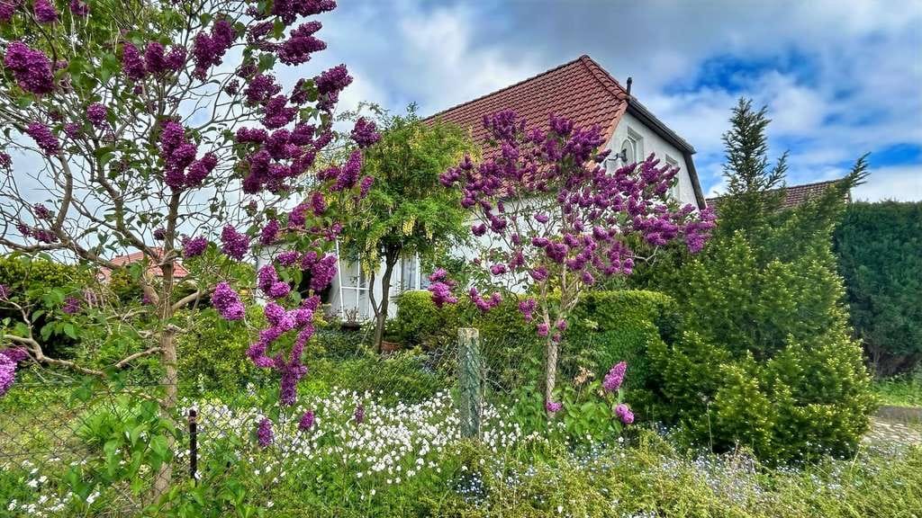 Immobilie in Schwaan - Viel Platz und großer Garten - Bild 2