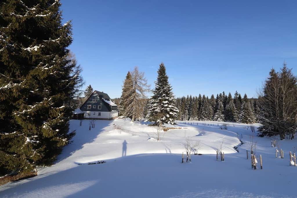Immobilie in Eibenstock - Edel saniertes Wiesenhaus in absolut ruhiger waldreicher und sonniger Einzellage - Bild 0