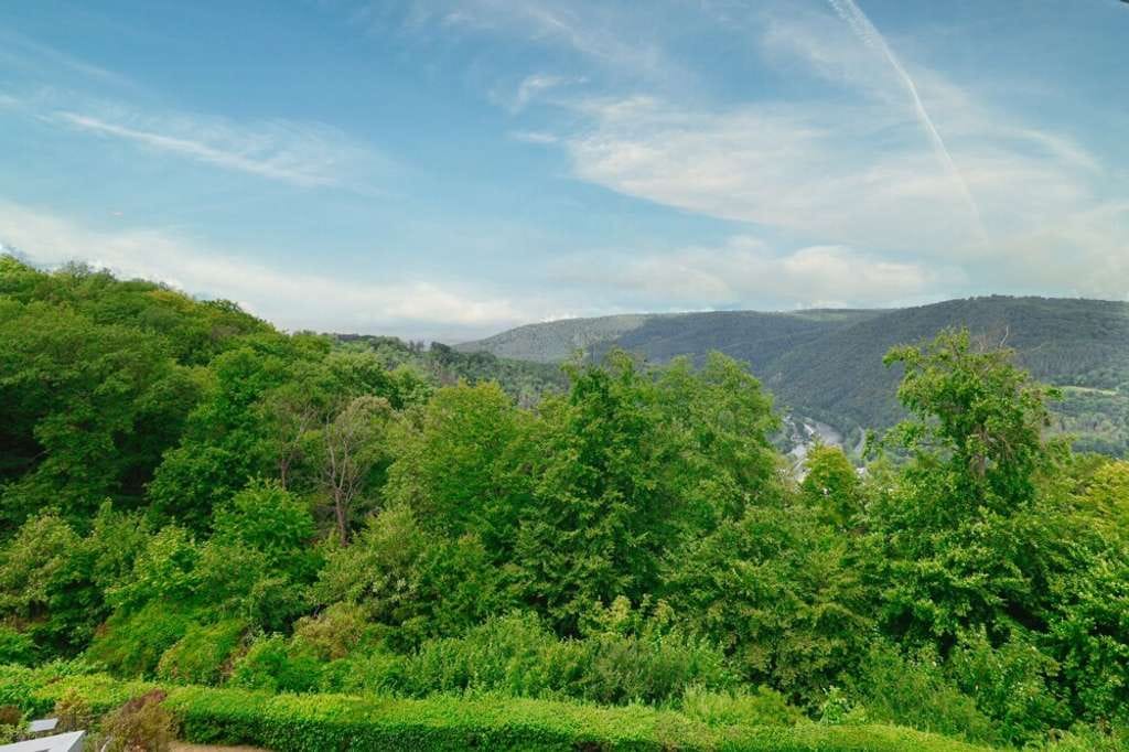 Immobilie in Lahnstein - Gepflegte 2-ZKB Wohnung mit EBK und Loggia in ruhiger Lage in Oberlahnstein - Am Kurpark - Bild 3
