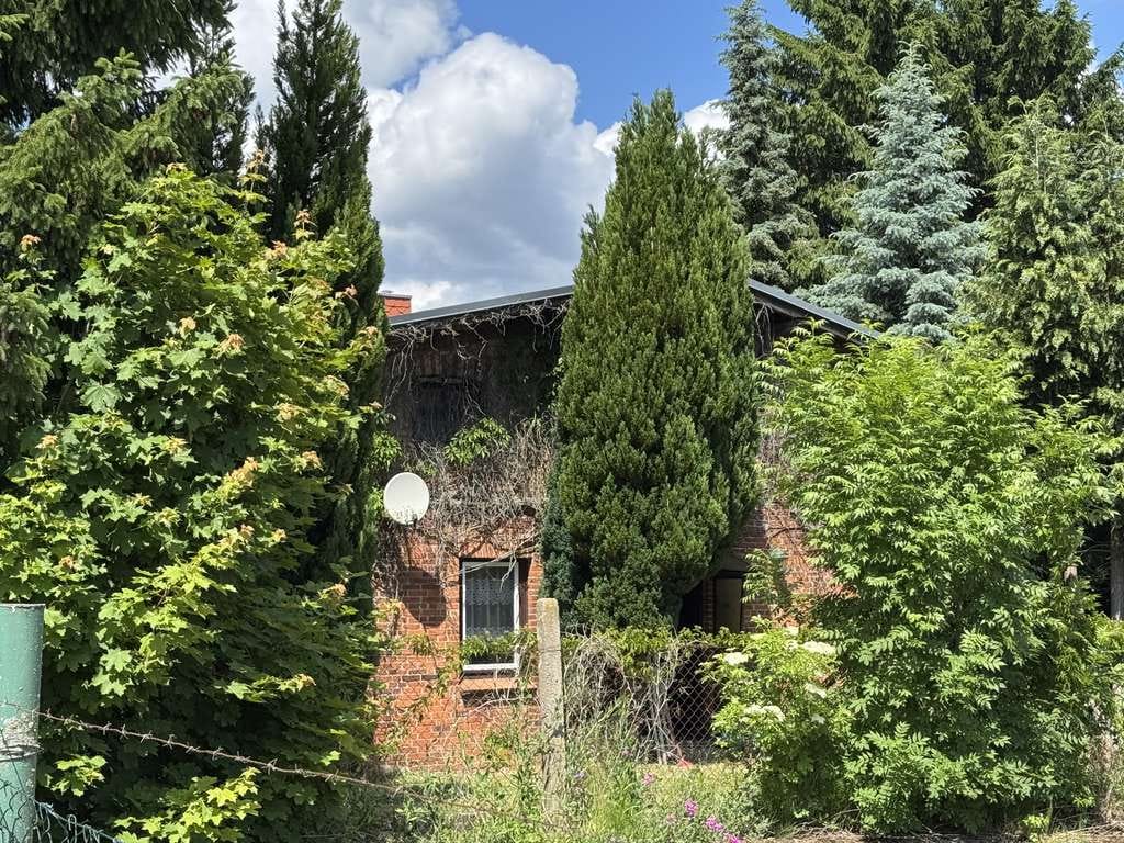 Immobilie in Dorf Mecklenburg - Charmantes Bauernhaus mit großem Grundstück und vielfältigen Nutzungsmöglichkeiten - Bild 1