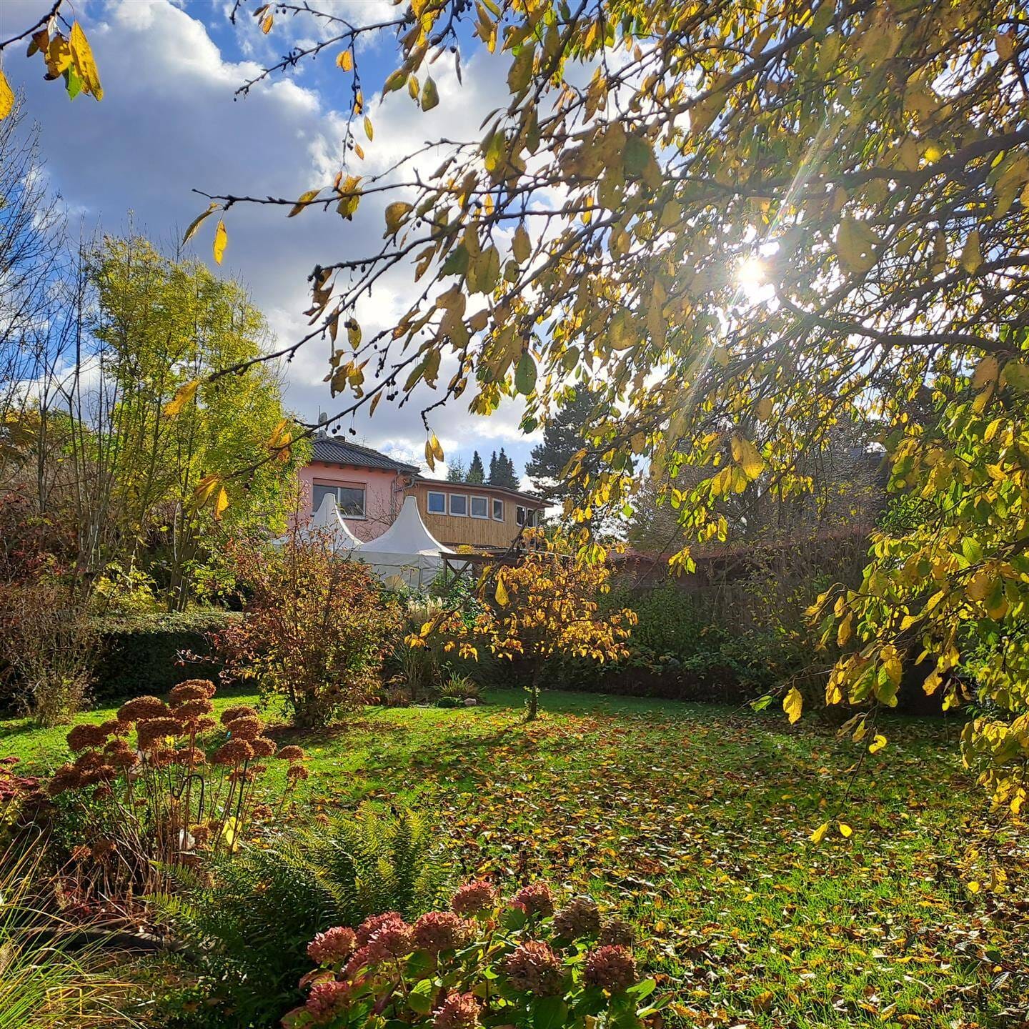 Immobilie in Ronneburg - Familienfreundliches Einfamilienhaus mit Blick auf die Ronneburg und potenzieller Einliegerwohnung im Kellergeschoss - Bild 3