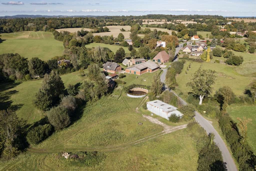 Immobilie in Dannau - ehemaliger Hof  mit modernem Wohnhaus, Nebengebäuden und 3,20 ha Eigenland in herrlicher Naturlage - Bild 3