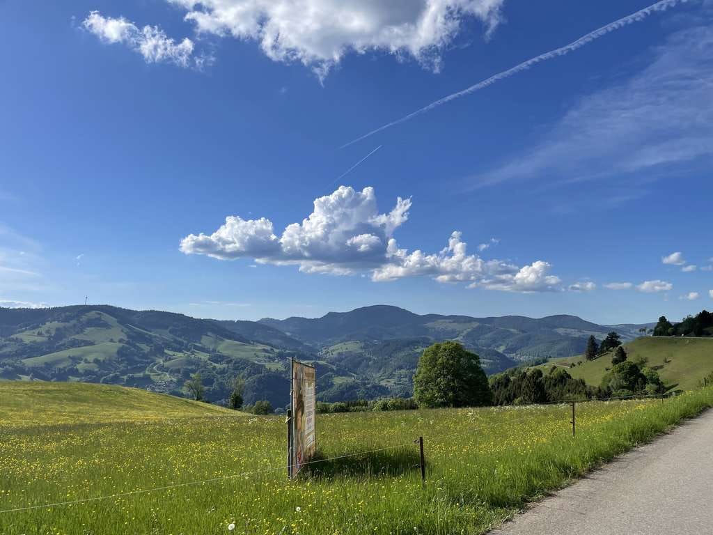 Immobilie in Häg-Ehrsberg - Kompaktes Haus in Häg-Ehrsberg: Ihr neues Zuhause - Bild 0