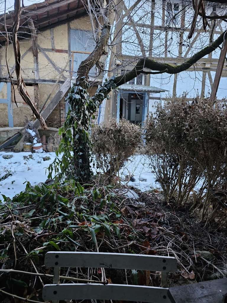 Immobilie in Nottertal-Heilinger Höhen - Bäuerliches Anwesen, stark Sanierungsbedürftig in Obermehler zu verkaufen :) - Bild 4