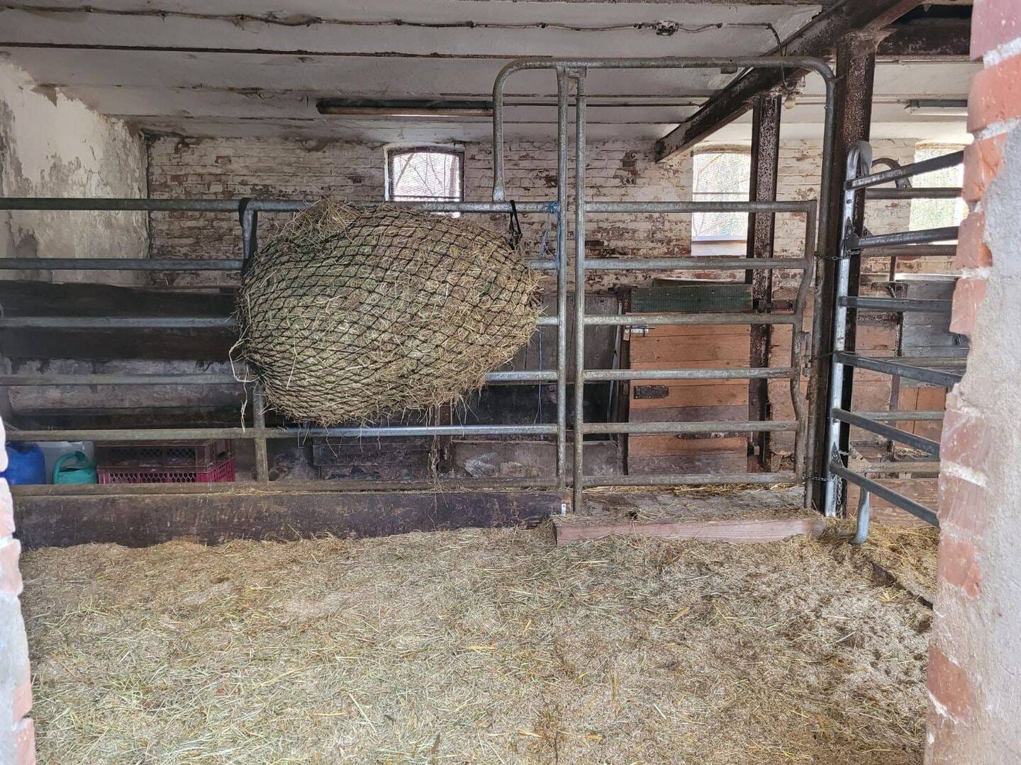 Immobilie in Oberneisen - Kompakter Pferdehof mit mehreren Gebäuden, Bewegungsplatz und ca. 1,5 ha Pachtweide!  - Bild 3
