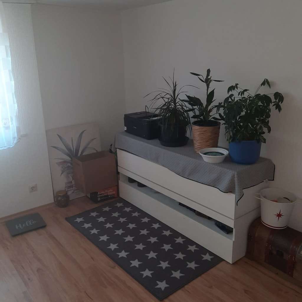 Immobilie in Wutöschingen - Wutöschingen /Degernau - Zweifamilienhaus mit Ausbaupotenzial! - Bild 2