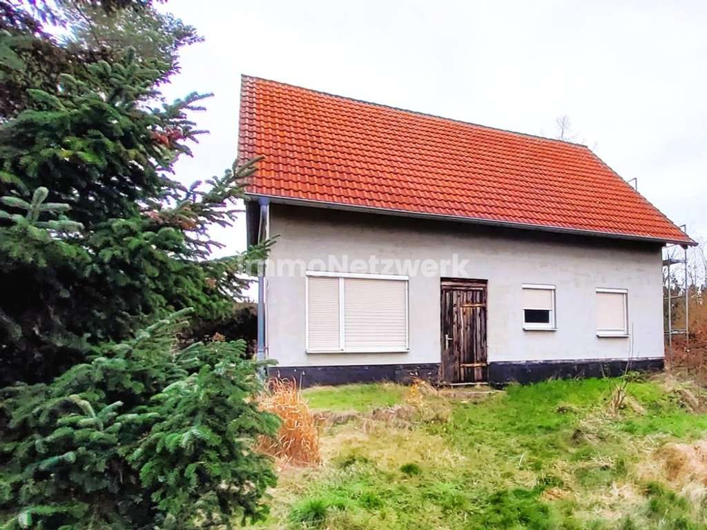 Immobilie in Trebsen/Mulde - Einfamilienhaus im Rohbau auf großem
Doppelgrundstück mit zusätzlicher Bebauungsperspektive - Bild 0