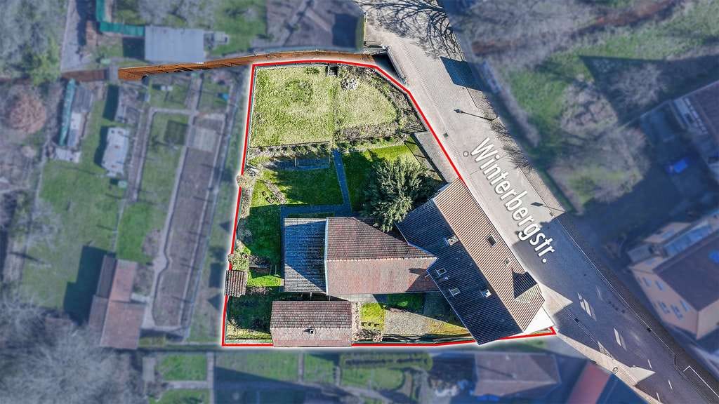 Immobilie in Erfweiler - Großzügiges Einfamilienhaus mit Scheune und Gartenidylle in Erfweiler - Bild 3