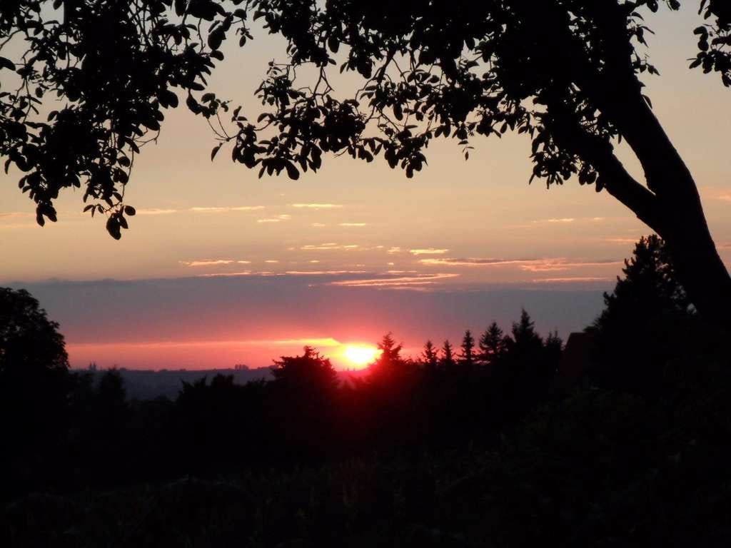 Immobilie in Zschopau - GENIESSEN SIE ROMANTISCHE SONNENUNTERGÄNGE - AUF DER TERRASSE IHRES NEUEN HAUSES! TEL. 01714863595   - Bild 0