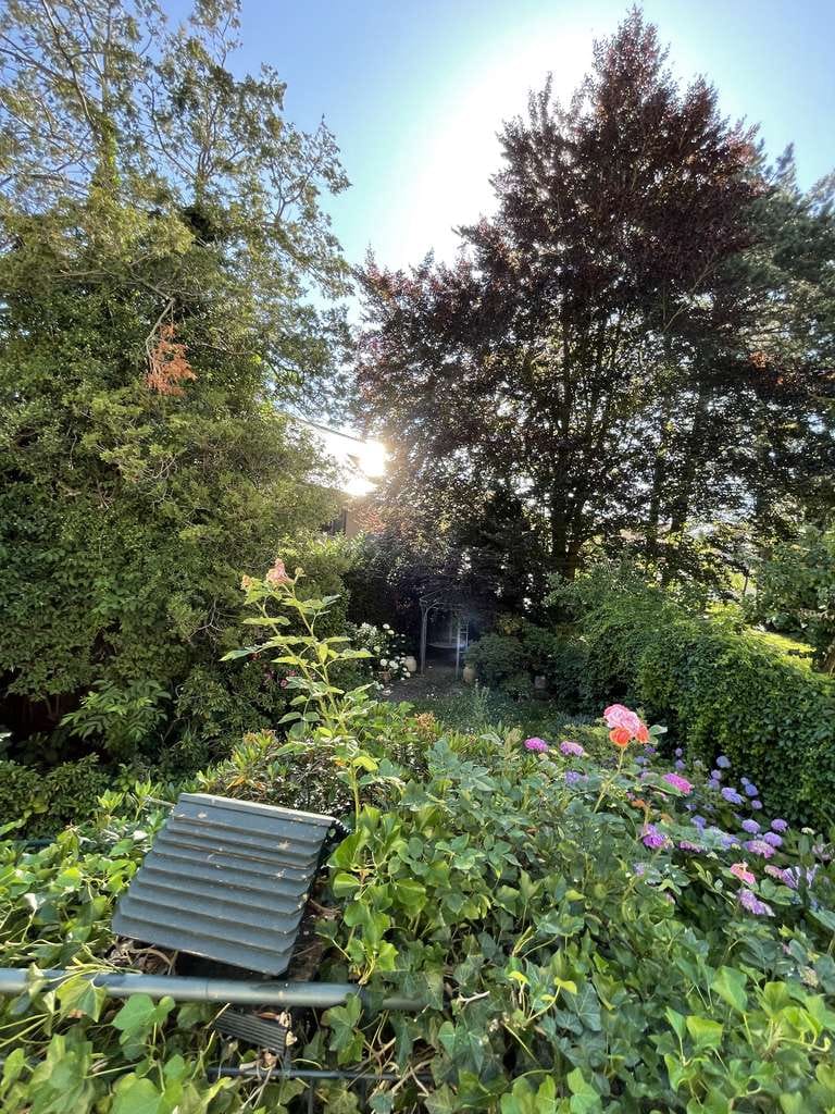 Immobilie in Bad Nenndorf - Willkommen in Ihrem neuen Zuhause – Familienidyll mit Wintergarten auf grünem Erbpachtgrundstück - Bild 2