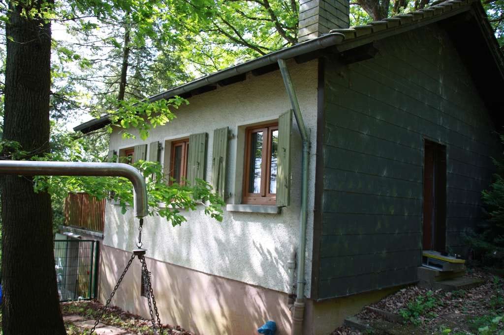 Immobilie in Schmelz - Waldhaus in Alleinlage - Bild 4