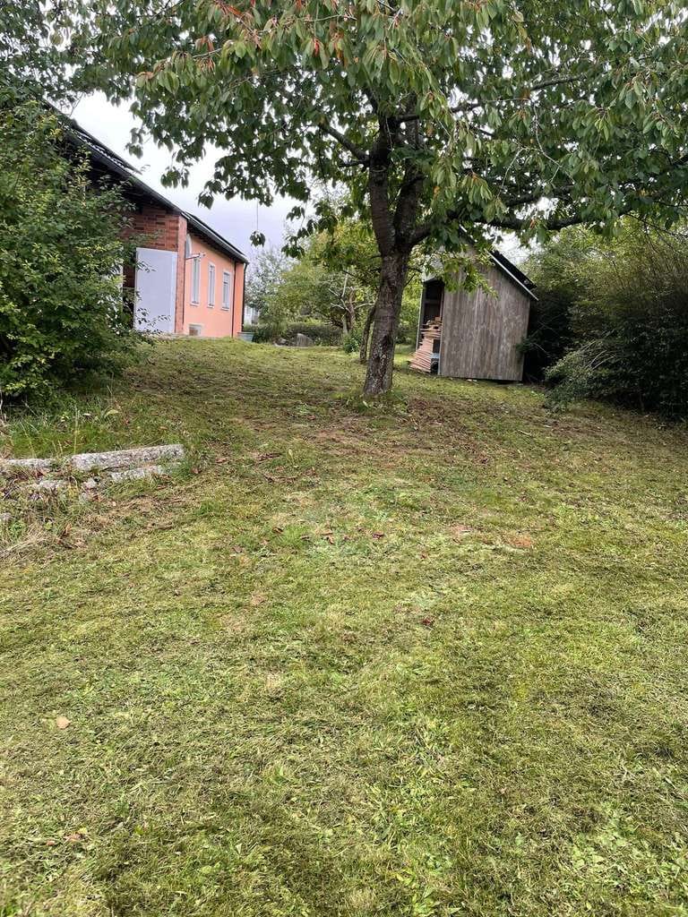 Immobilie in Speinshart - Stilvoll modernisiertes Einfamilienhaus mit großzügigem Grundstück in Eschenbach - Bild 2