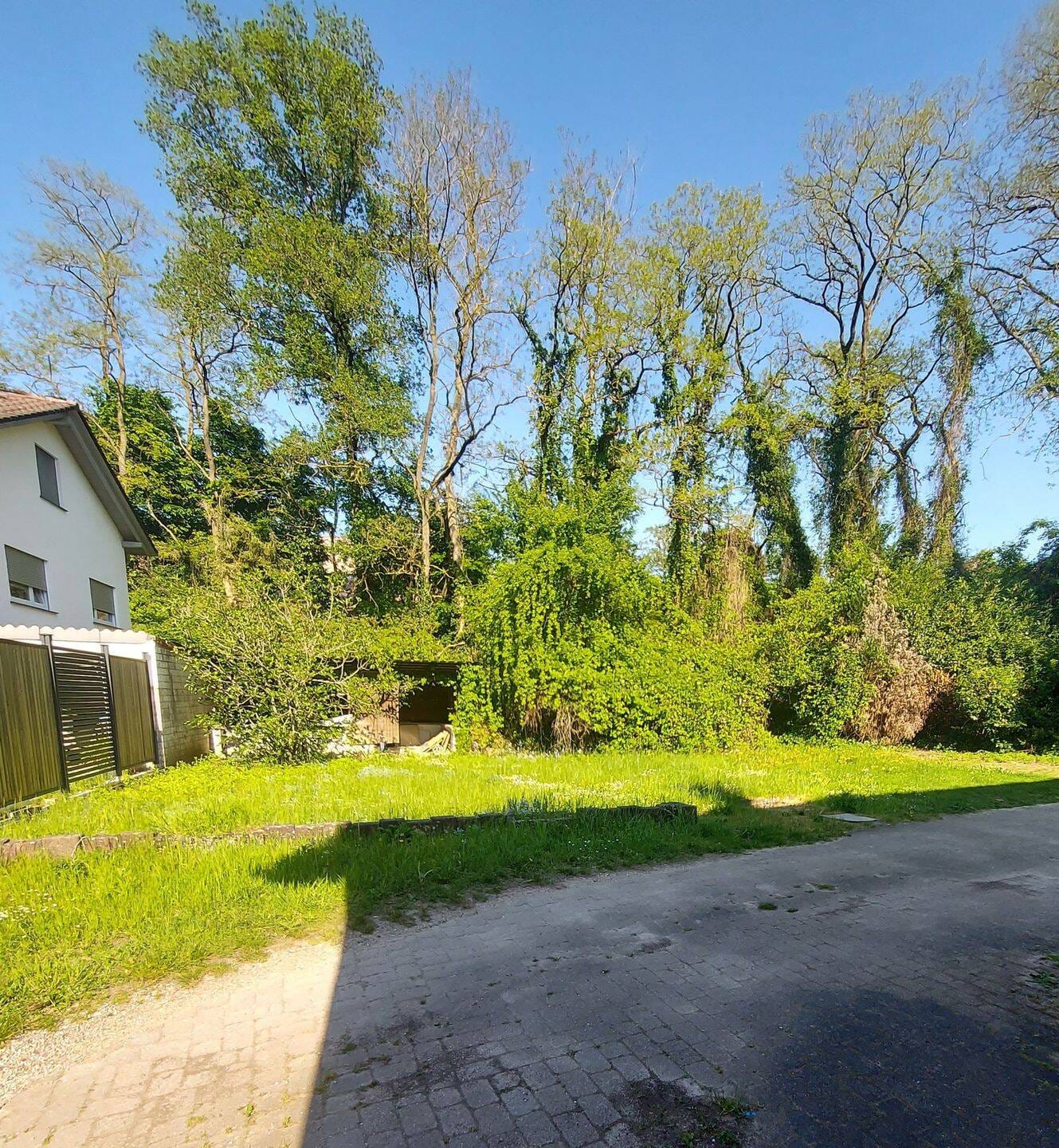 Immobilie in Iffezheim - Ein/Zweifamilienhaus mit Baugrundstück für noch Zwei/Dreifamilienhaus - Bild 3
