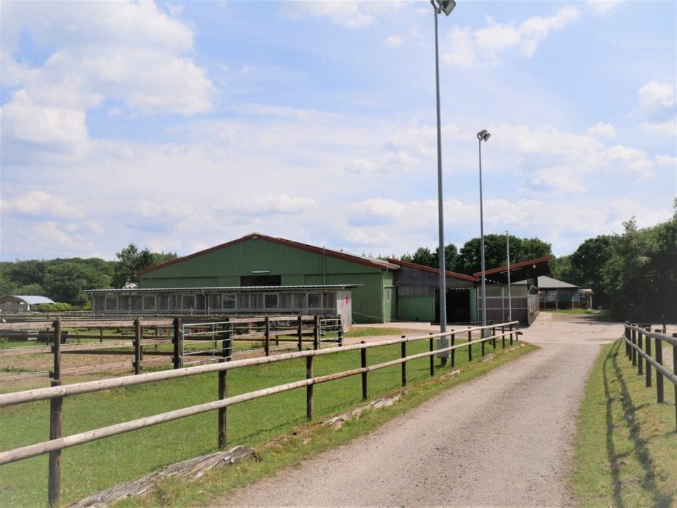 Immobilie in Nordhastedt - Vorbildliche Reitanlage zum Top-Preis !
inklusive großzügigem Wohnhaus
bei Heide - Holstein - Bild 2