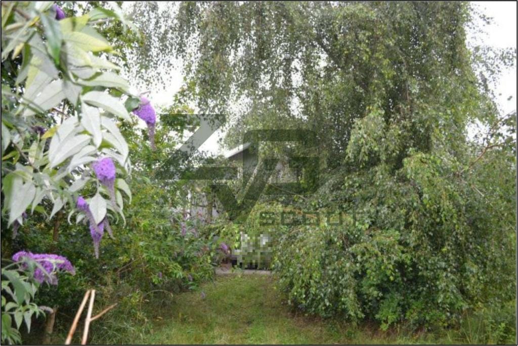 Immobilie in Dersau - Einfamilienhaus (Bungalow) in ruhiger Wohnlage mit attraktivem landschaftlichen Lagewert - Bild 2