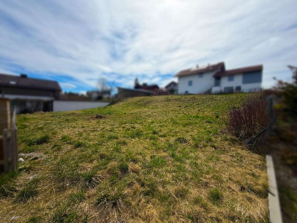 Immobilie in Raisting - NEUBAUPROJEKT: Drei Architektenhäuser in Massivholzbauweise - Bild 3