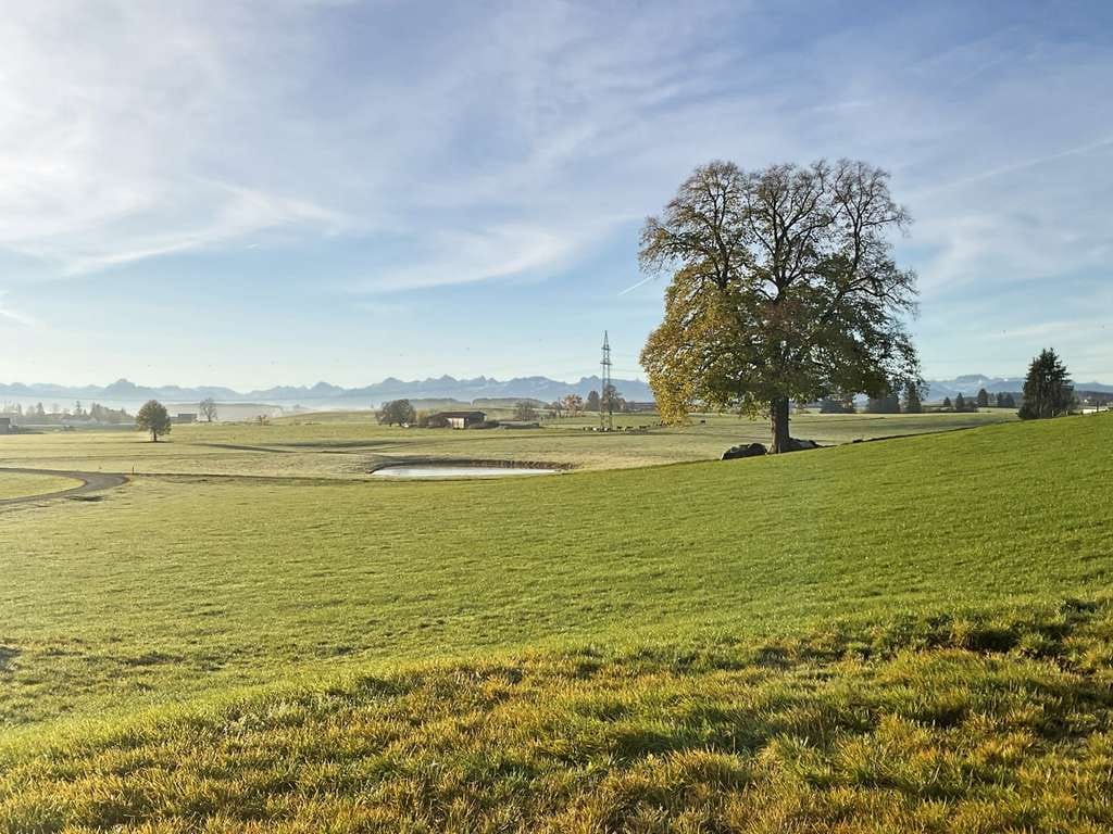 Immobilie in Aitrang - Traumhafte Aussichten! - Bild 0