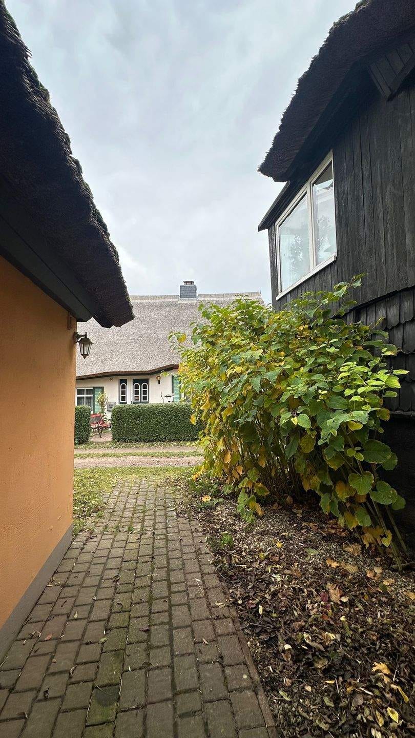 Immobilie in Ahrenshoop - AHRENSHOOP: Ein Haus mit Geschichte zwischen Bodden und Ostsee - Bild 4