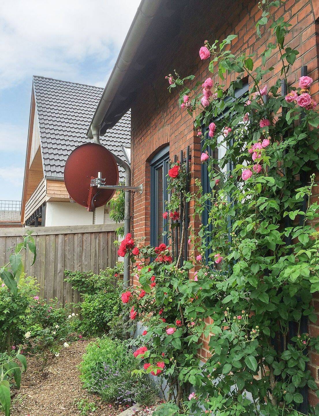 Immobilie in Melsdorf - Stilvolles Ein-/Zweifamilienhaus mit liebevoll gepflegtem Garten in Melsdorf - Bild 4