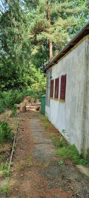Immobilie in Bad Schmiedeberg - Wochendgrundstück in der Dübener Heide zu verkaufen - Bild 3
