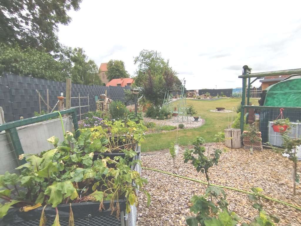 Immobilie in Jesendorf - Sie werden begeistert sein - tolle Wohnung mit großem Grundstück - Bild 1
