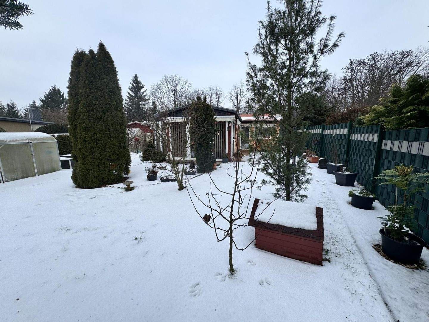 Immobilie in Belgern-Schildau - Schickes Wochenendgrundstück in Schildau-Neumühle zu verkaufen - ganzjährig nutzbar - Bild 3